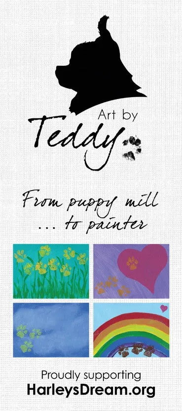 Art by Teddy - (25 pk) Rack Card / Brochure