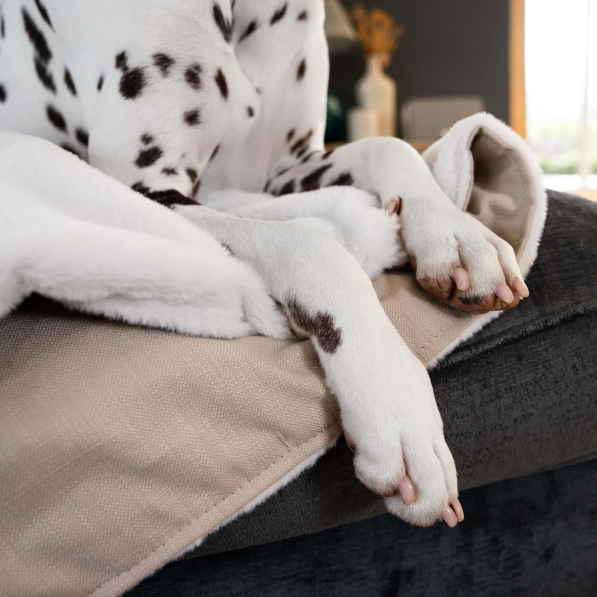 Dog & Puppy Blanket in Savanna Oatmeal by Lords & Labradors