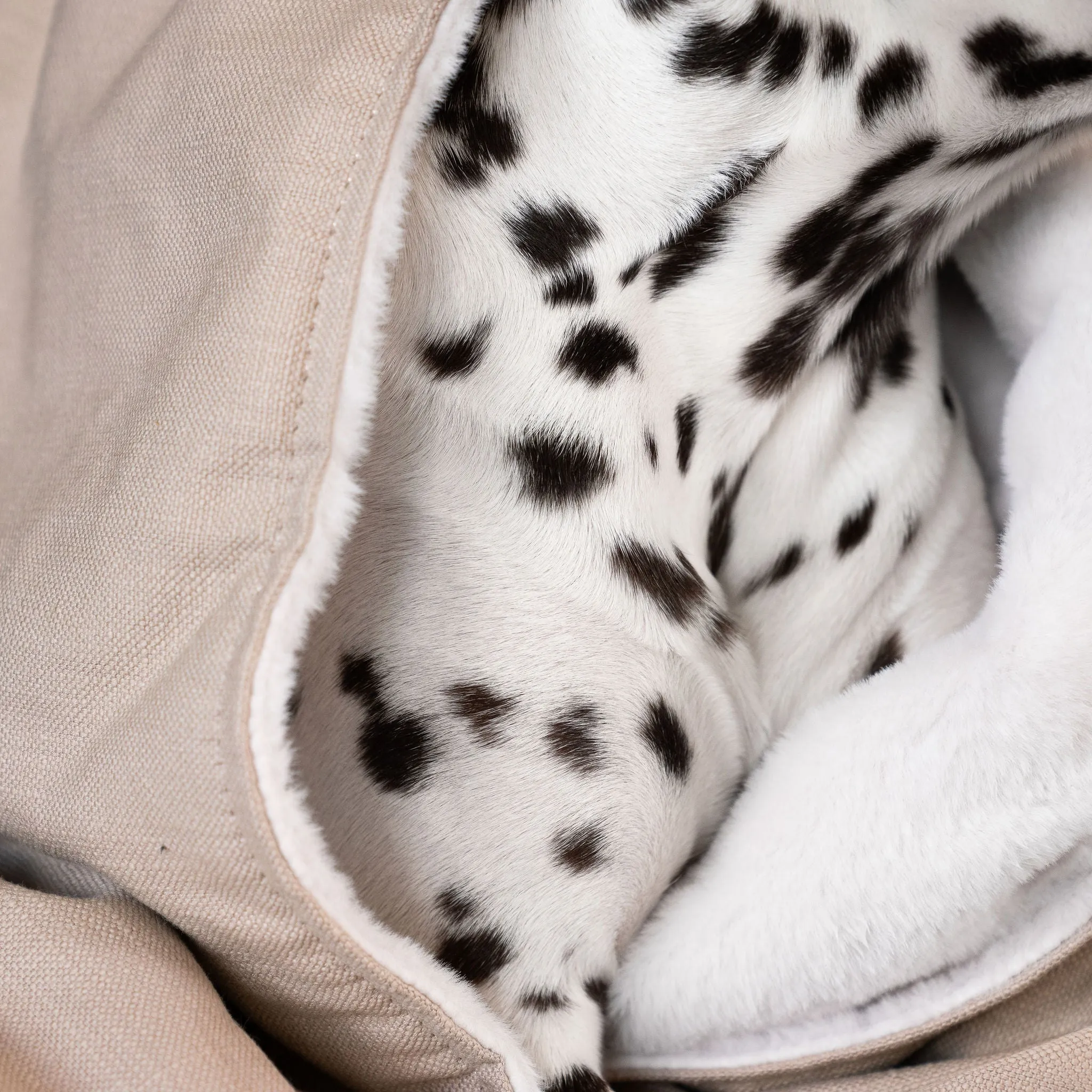 Dog & Puppy Blanket in Savanna Oatmeal by Lords & Labradors