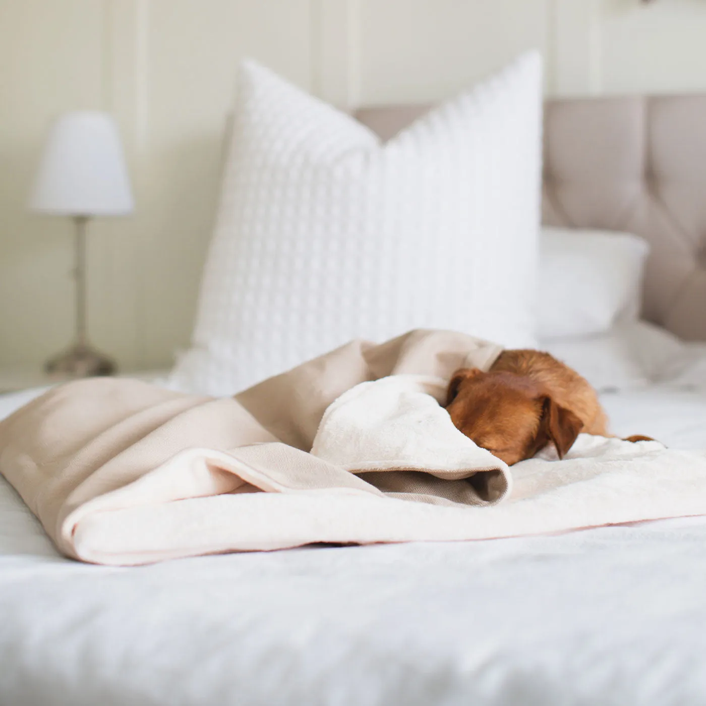 Dog & Puppy Blanket in Savanna Oatmeal by Lords & Labradors