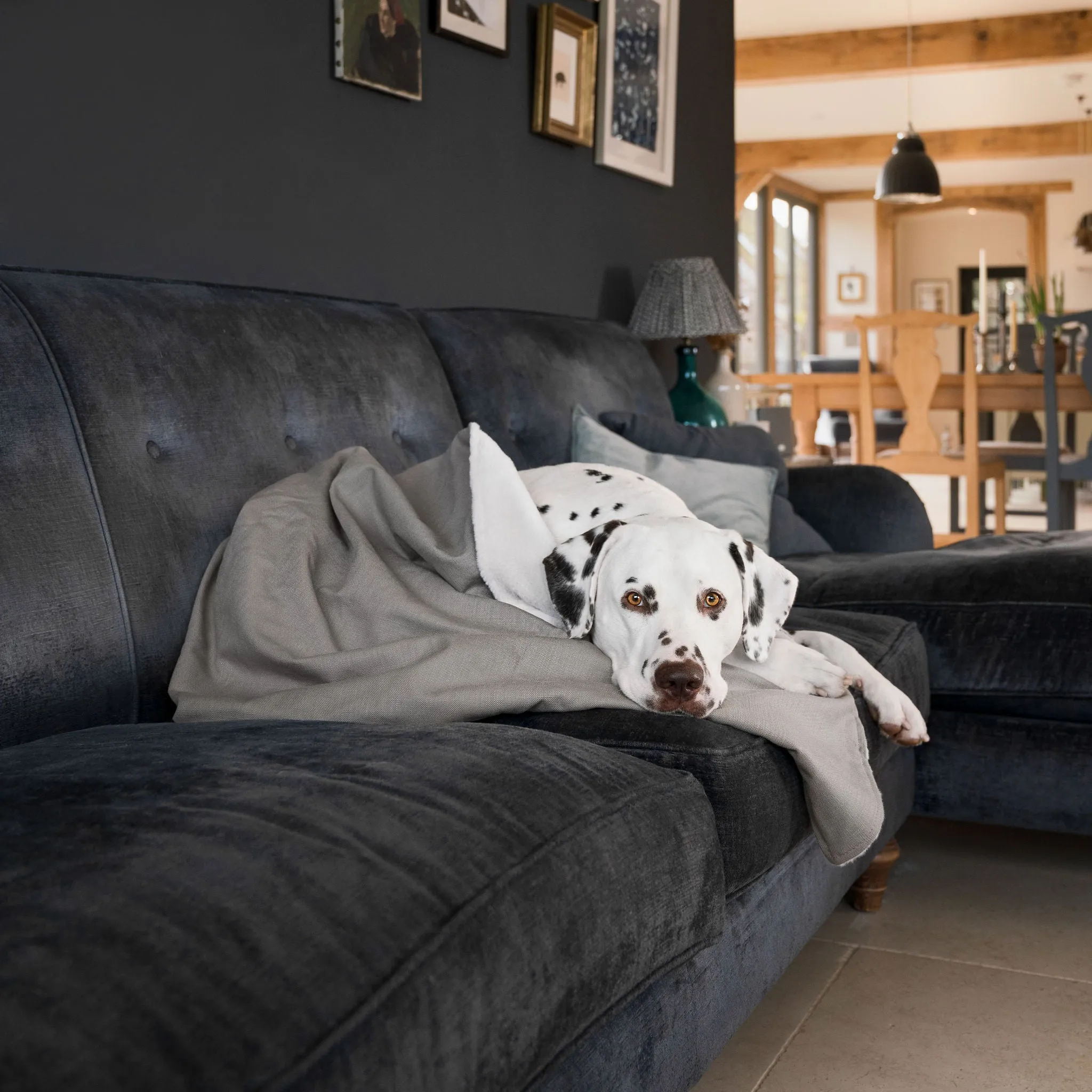 Dog & Puppy Blanket in Savanna Stone by Lords & Labradors