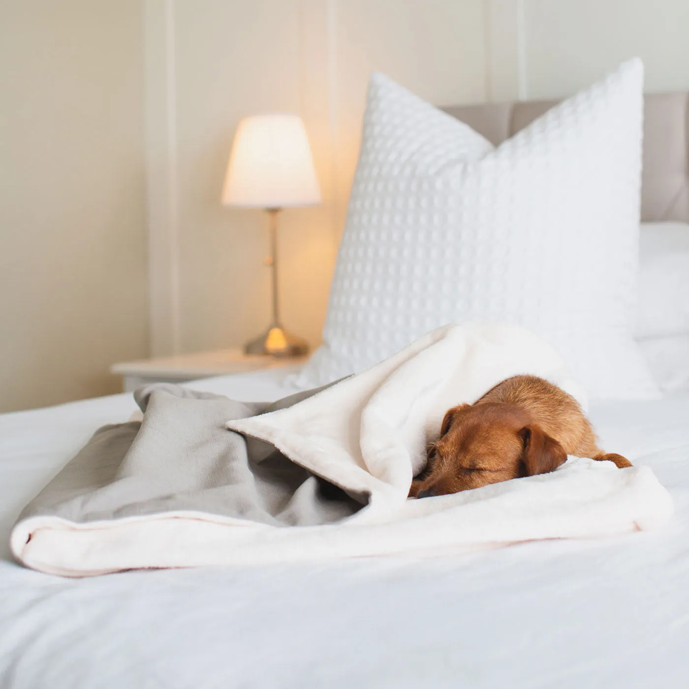 Dog & Puppy Blanket in Savanna Stone by Lords & Labradors