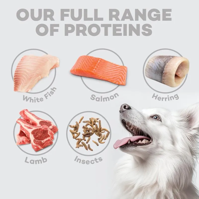 Nature's Protection Superior Care White Dogs Grain-Free Dry Dog Food For All Breeds Puppy, Salmon, Starter (Up to 4 month)