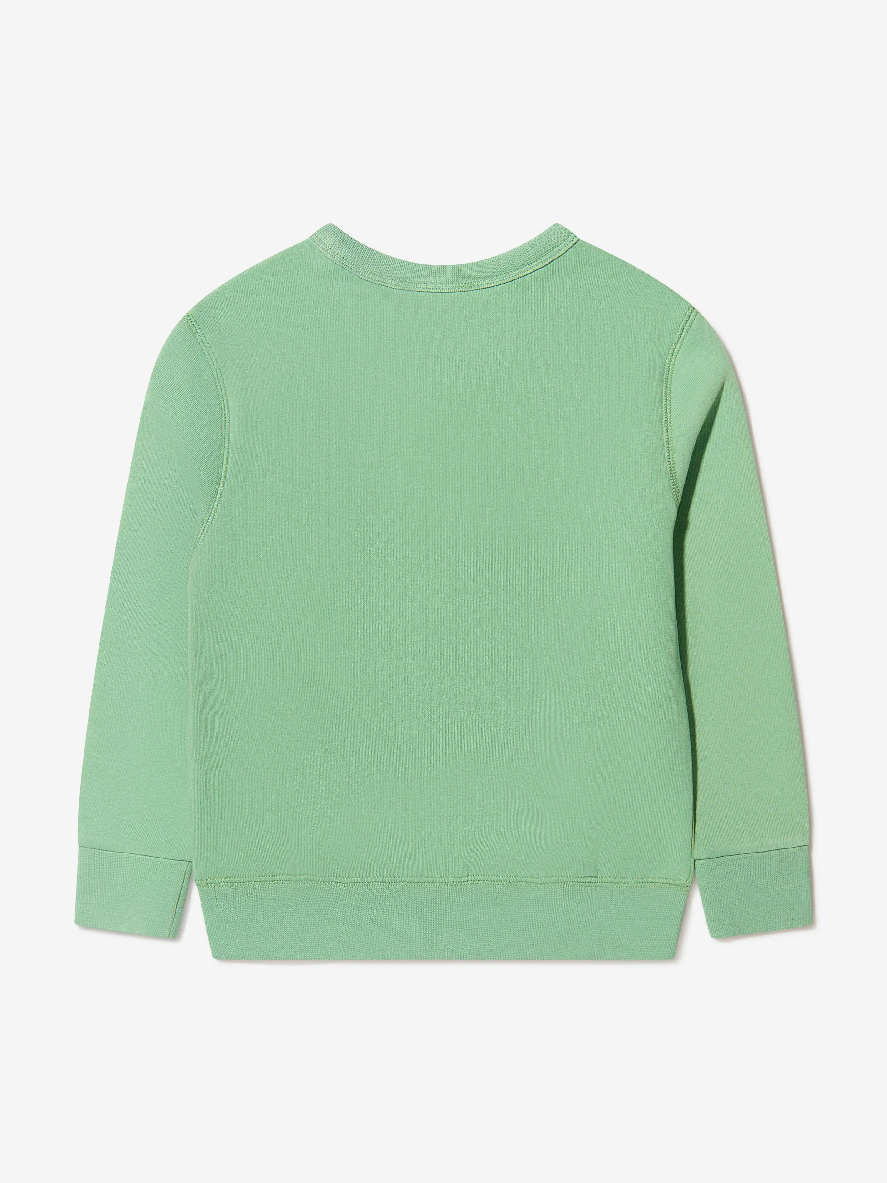 Ralph Lauren Boys Bear Sweatshirt in Green