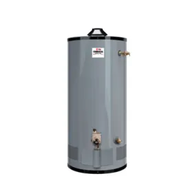 Rheem G50-60 Natural Gas