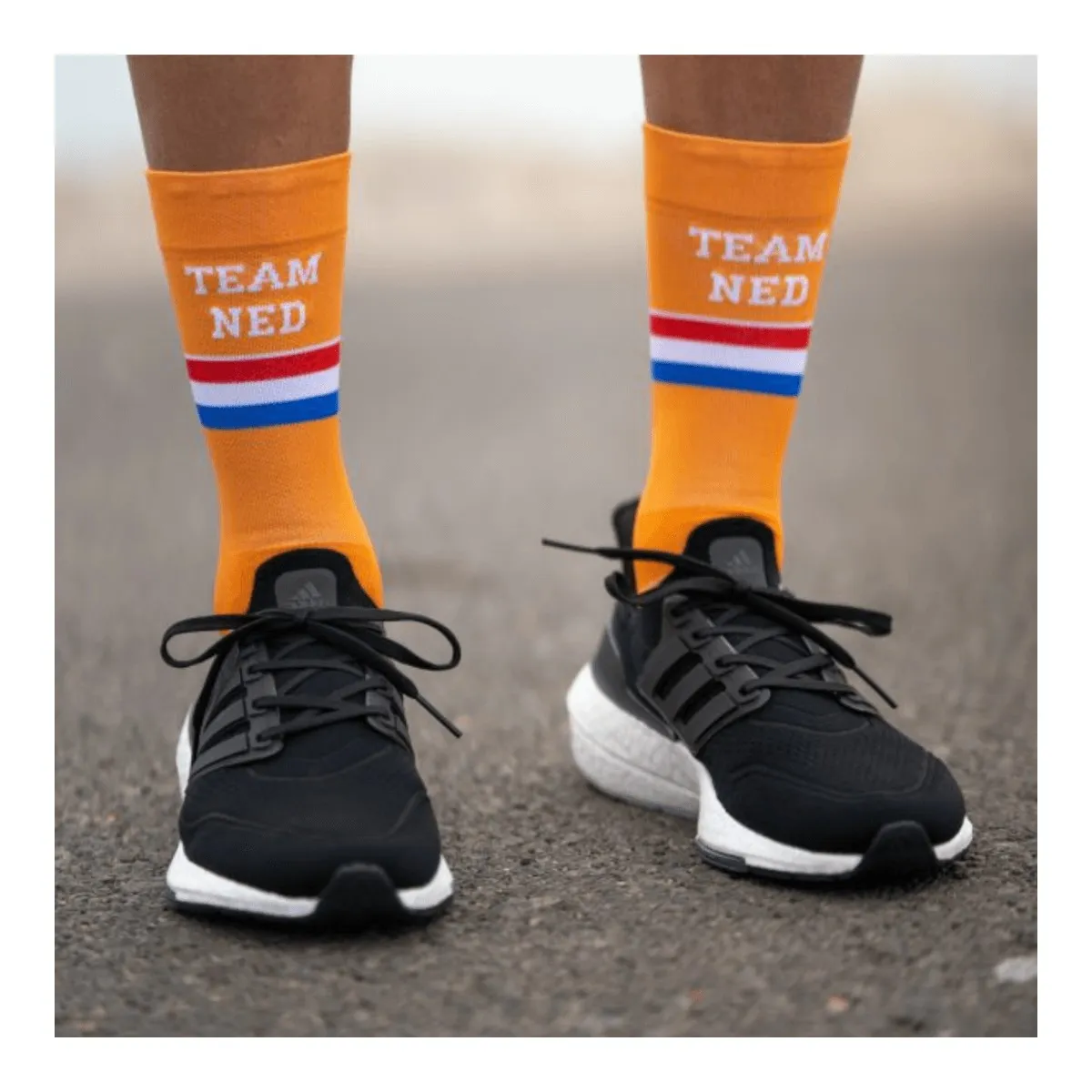 Sporcks Team Ned Orange Sock